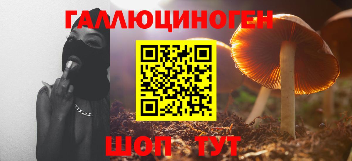 Галлюциногенные грибы Magic Shrooms Воскресенск